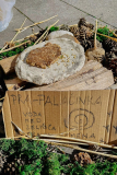 Festival-Palacink-19-of-46