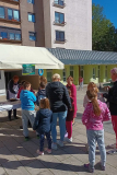 Festival-Palacink-8-of-46