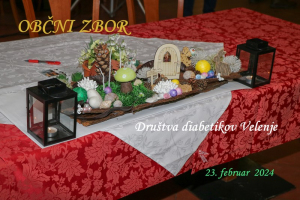OBČNI ZBOR, FEB 2024