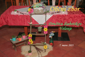 OBČNI ZBOR, FEB 2025