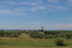 IMG_3752
