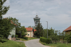 IMG_6784