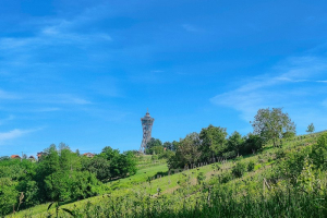 OKREVANJE LENDAVA, MAJ 2024