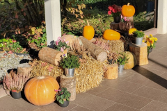 IMG_2626_20241104_135245