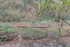 IMG_4753_20251102_144031