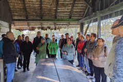 IMG_4800_20251104_100029