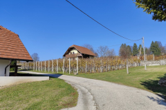 IMG_4928_20251106_101358