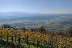 IMG_4928_20251106_102047