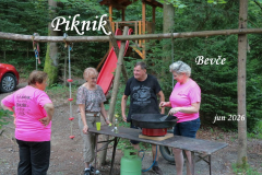 PIKNIK, JUN 2026