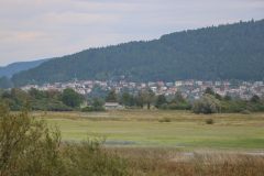 IMG_0870